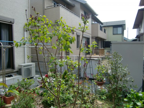 姫路市 ガーデンリフォーム ガーデニングを楽しむお庭 ヴィンテージレンガのナチュラルガーデン