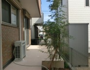 姫路市｜ガーデンリフォーム　休眠スペースをタイルテラスと植栽で明るい中庭に。